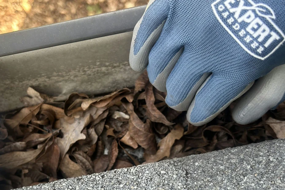 Gutter Cleaning Chattahoochee Hills